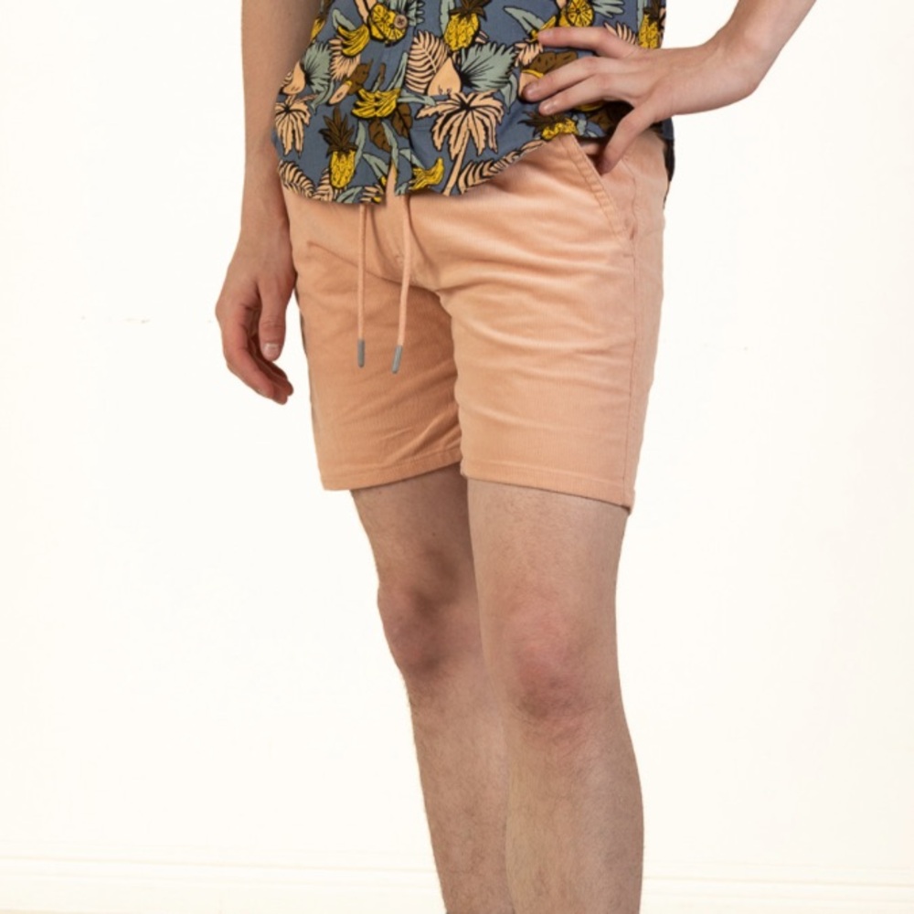 VSTR Peach Pink Corduroy Shorts Men’s XL